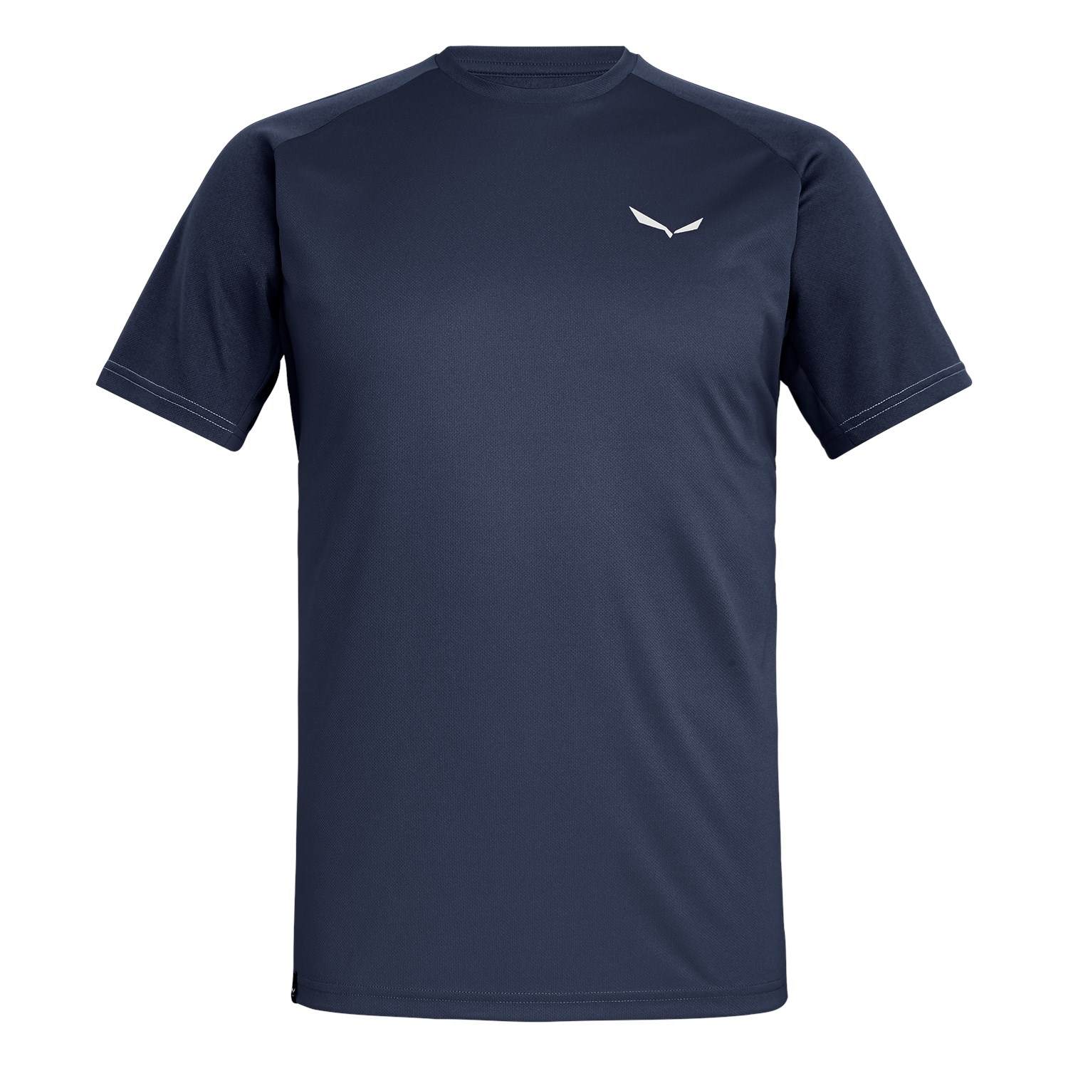 Salewa Sporty B 3 Dry Erkek T-Shirts Mavi/Lacivert Türkiye 940715LKU